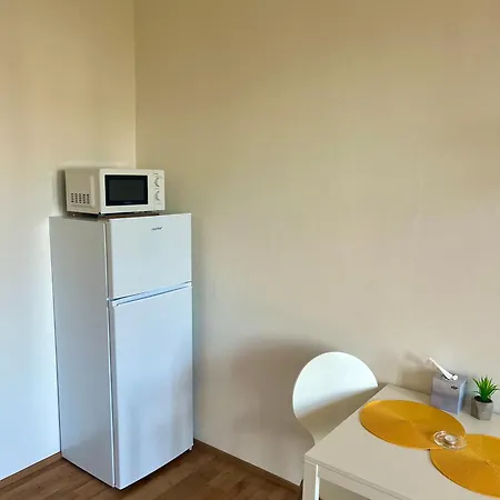 Soukromi Byt V Centru Brna Брно Экстерьер фото